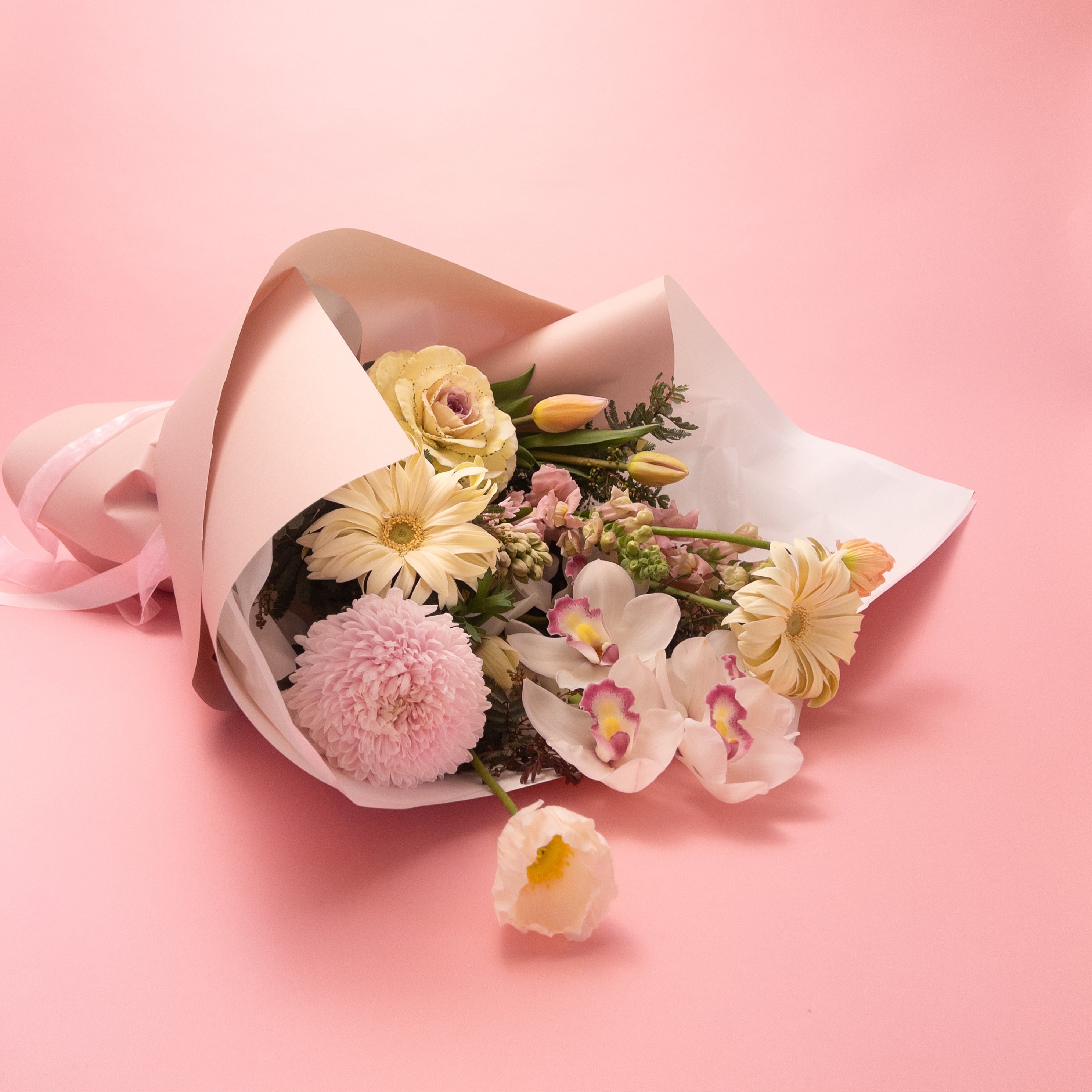 Doreen pretty + pastel