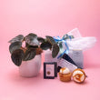 For Him Pamper Gift Pack with Indoor Plant