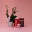Lush Christmas Treats