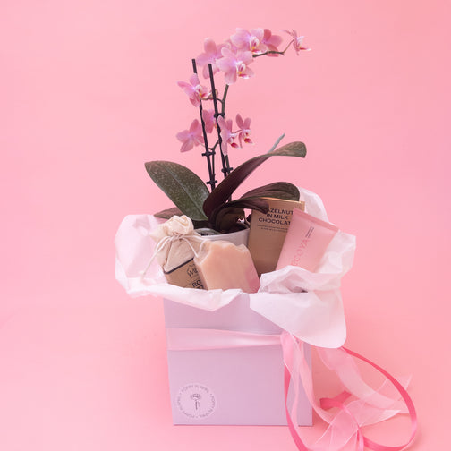 Orchid and Treats Gift Box
