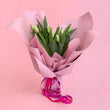 Weekly Special - Tulips
