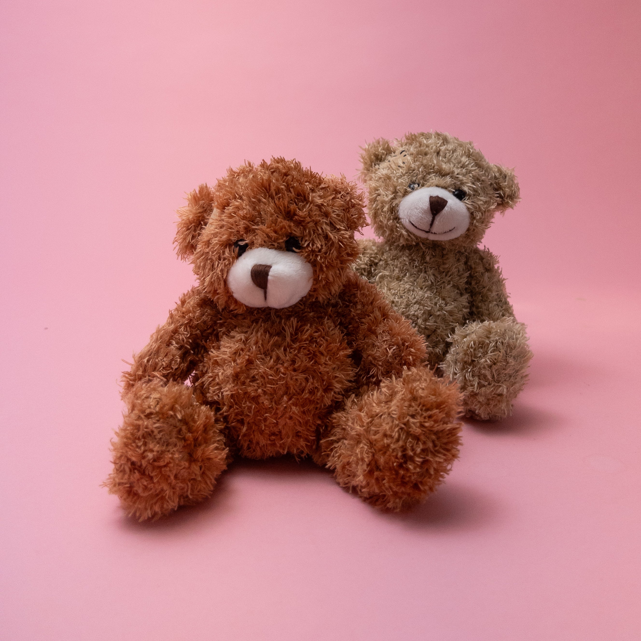 Ted the Teddy Bear