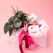 Forna and Treats Gift Box