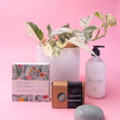 Pamper Gift Pack with Indoor Plant