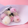 Peony Chrysanthemum