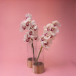 Wooden Base Vase