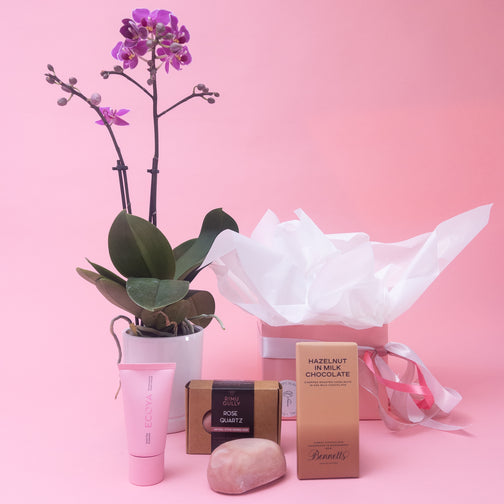 Mothers Day Orchid and Treats Gift Box