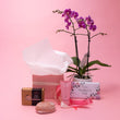 Mothers Day Orchid and Treats Gift Box