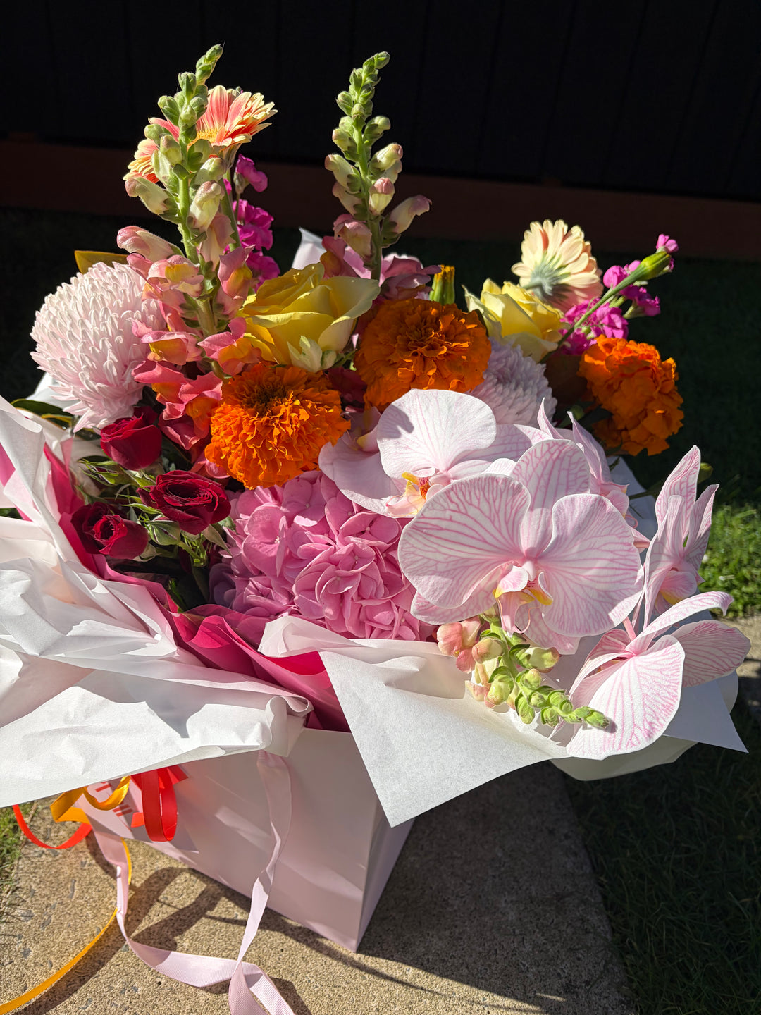 IMG_1788.jpeg__PID:6d8efdfe-7319-4e01-bb8c-a8661a91419e