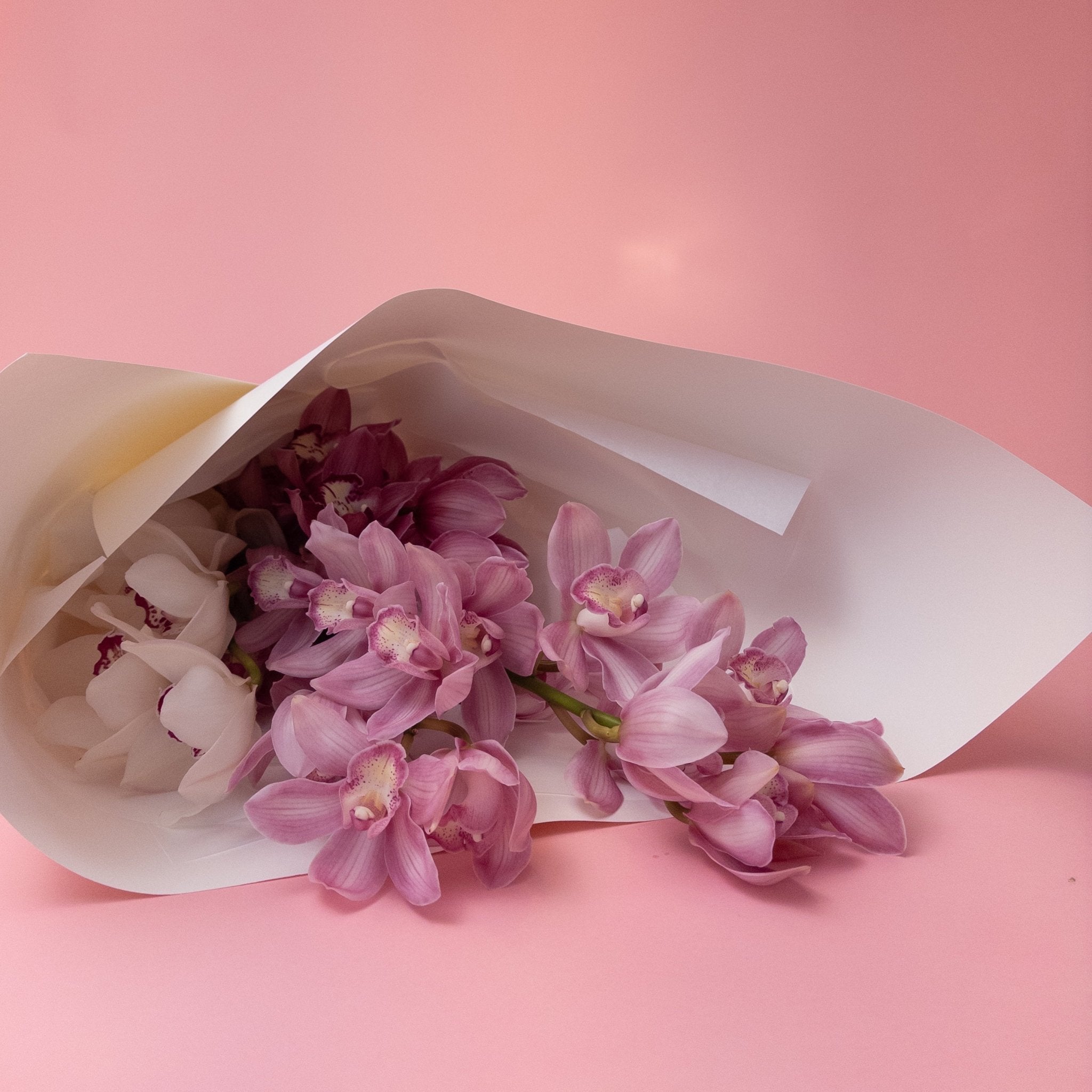 Beautiful Locally Grown Orchids - Poppy In April