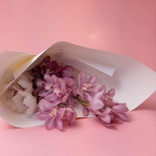 Beautiful Locally Grown Orchids - Poppy In April