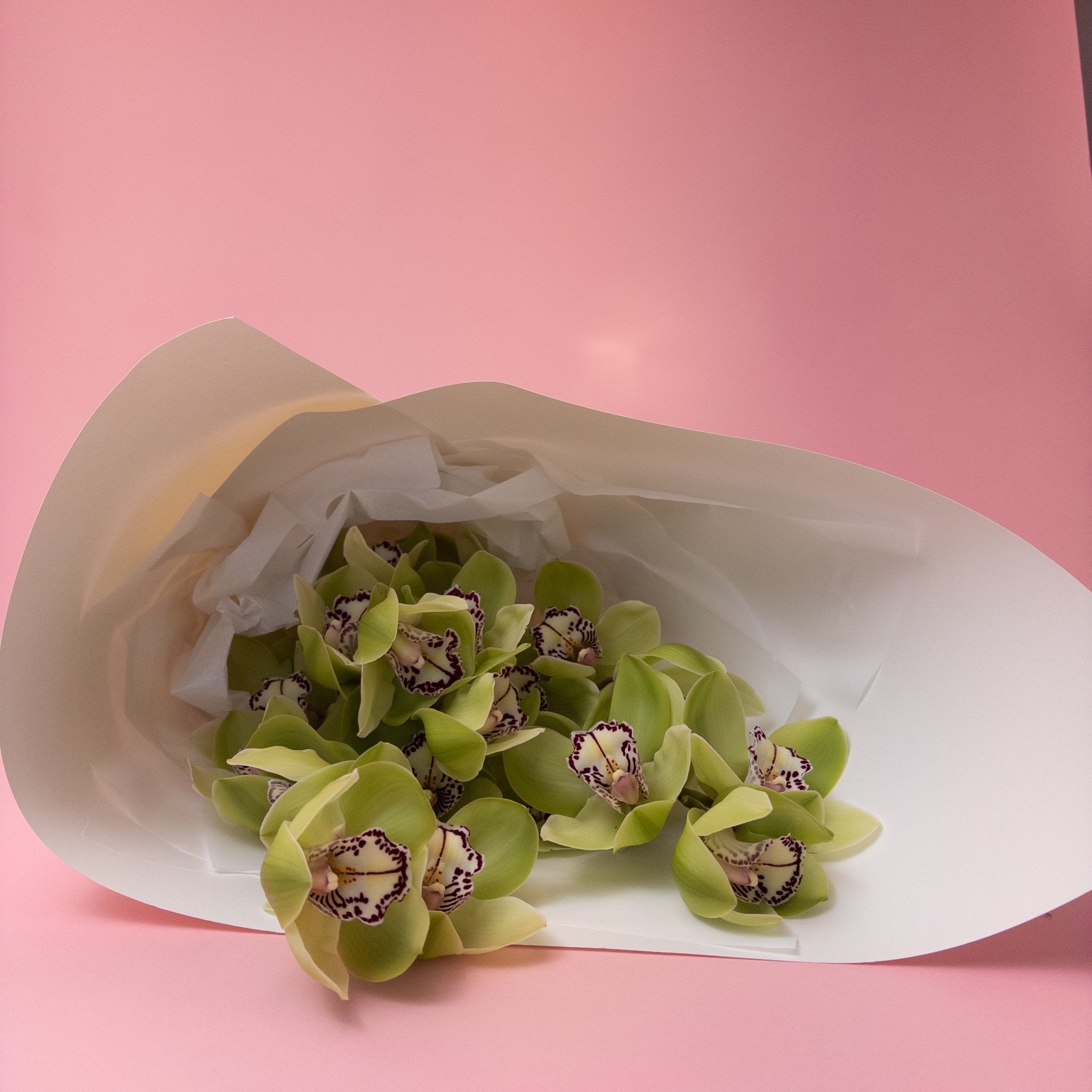 Beautiful Locally Grown Orchids - Poppy In April