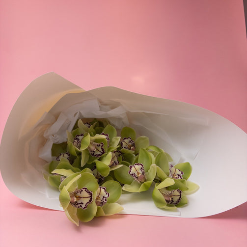 Beautiful Locally Grown Orchids - Poppy In April