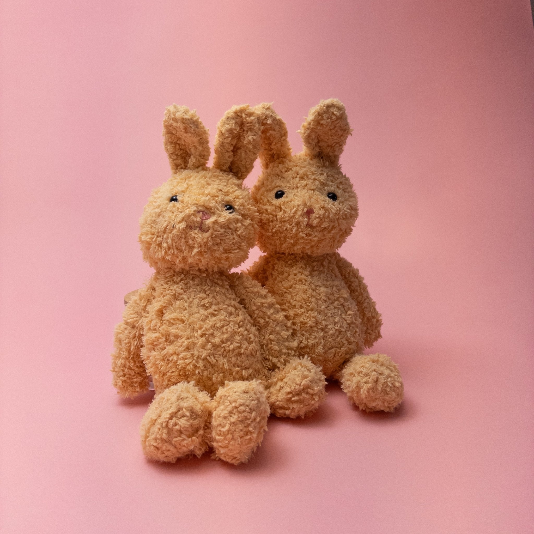 Floppy The Bunny - Poppy In April