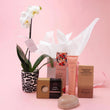 Orchid and Treats Deluxe Gift Set - Poppy In April