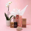 Orchid and Treats Deluxe Gift Set - Poppy In April