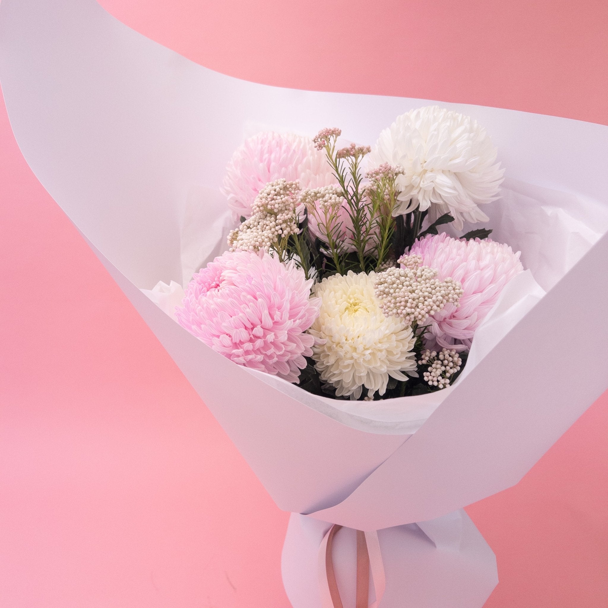 Peony Chrysanthemums - Poppy In April