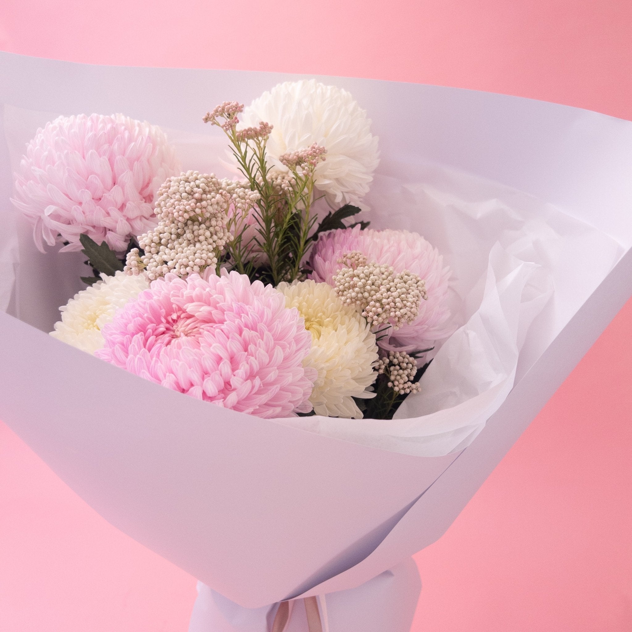 Peony Chrysanthemums - Poppy In April
