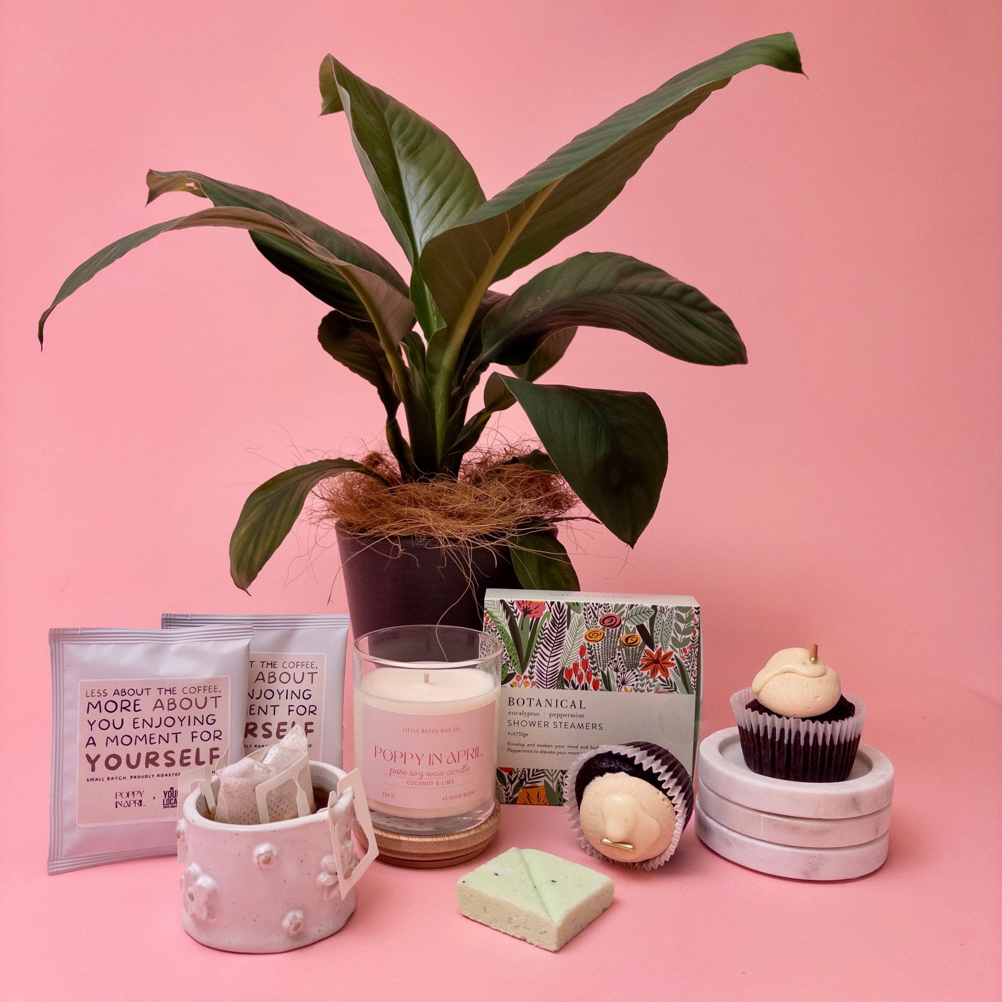 Plant And Treats Gift Box - Poppy In April