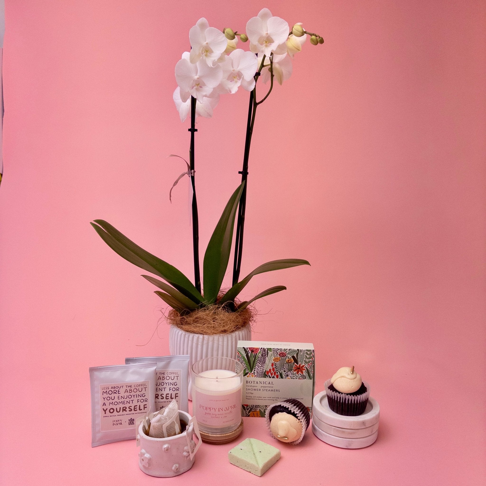 Plant And Treats Gift Box - Poppy In April