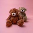 Ted the Teddy Bear - Poppy In April