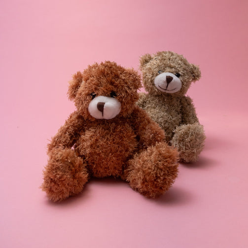 Ted the Teddy Bear - Poppy In April