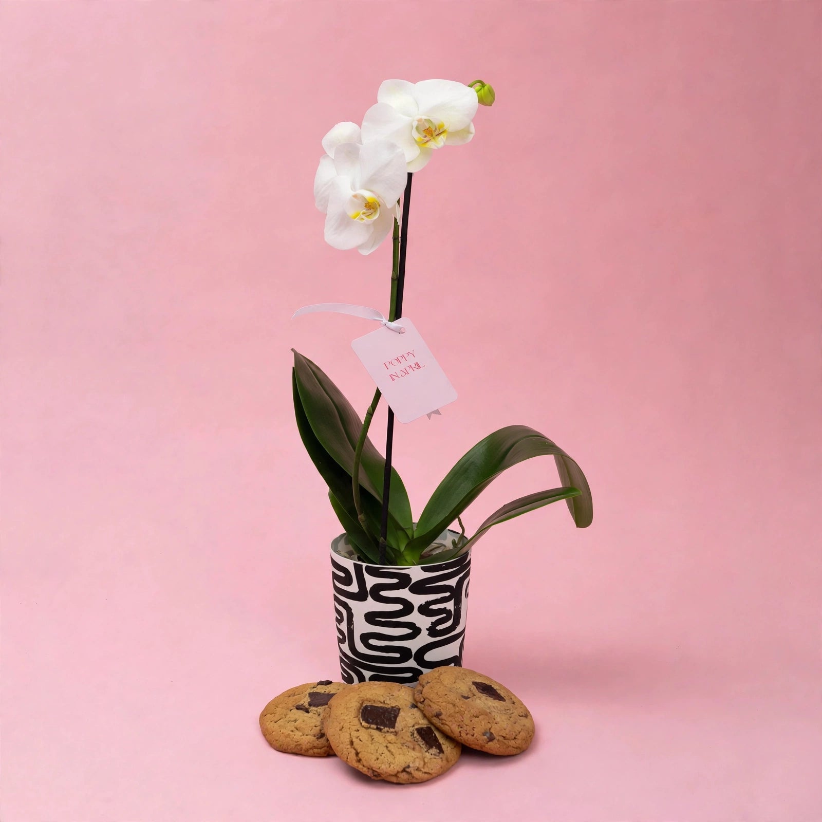 Weekly Special - Orchid + Free cookies - Poppy In April